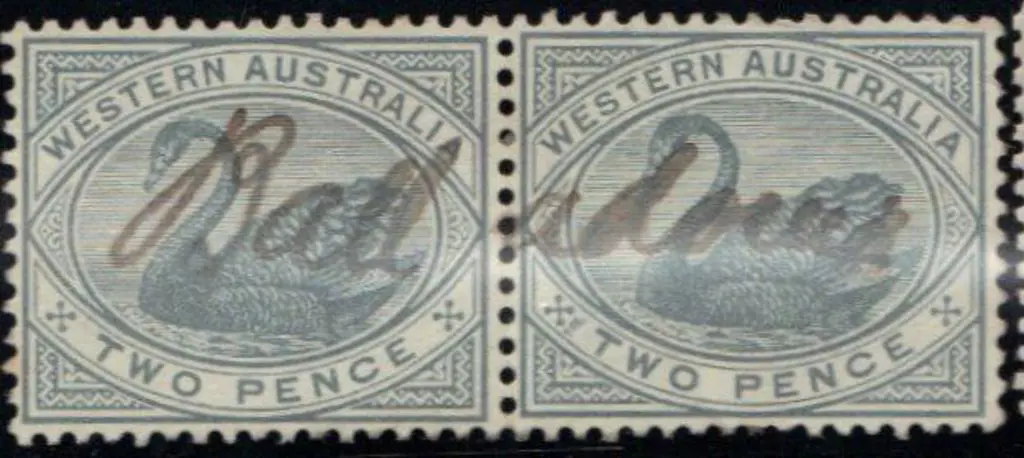 1885/93 2d grey CA Swan pair with manuscript ... Image 1++