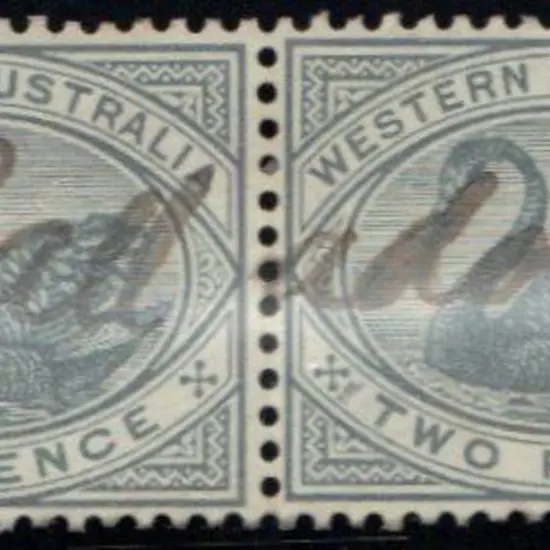 1885/93 2d grey CA Swan pair with manuscript ...