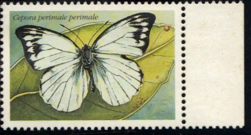 1997 75c butterfly with gold colour completely ... Image 1++