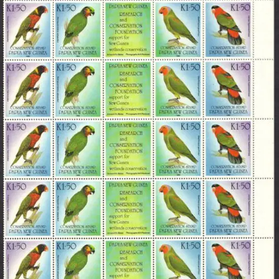 PNG 1993 Research & Conservation Foundation ...
