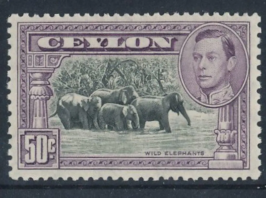 Ceylon 1938 50c black & mauve KGVI. Perf. 13 x 11½ ... Image 1++