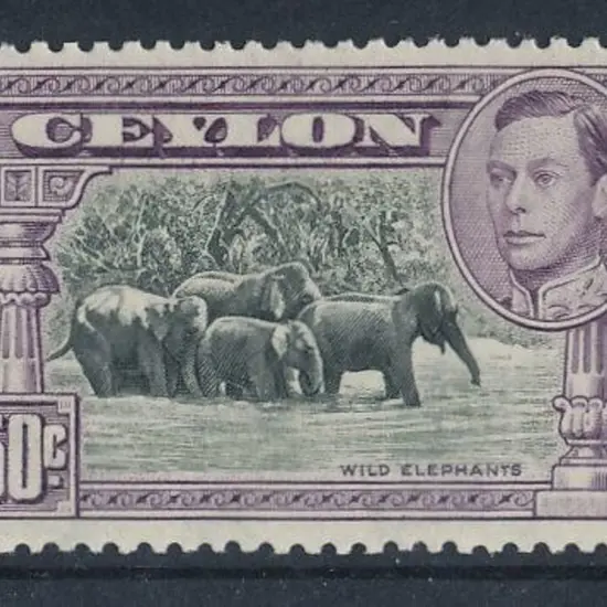 Ceylon 1938 50c black & mauve KGVI. Perf. 13 x 11½ ...