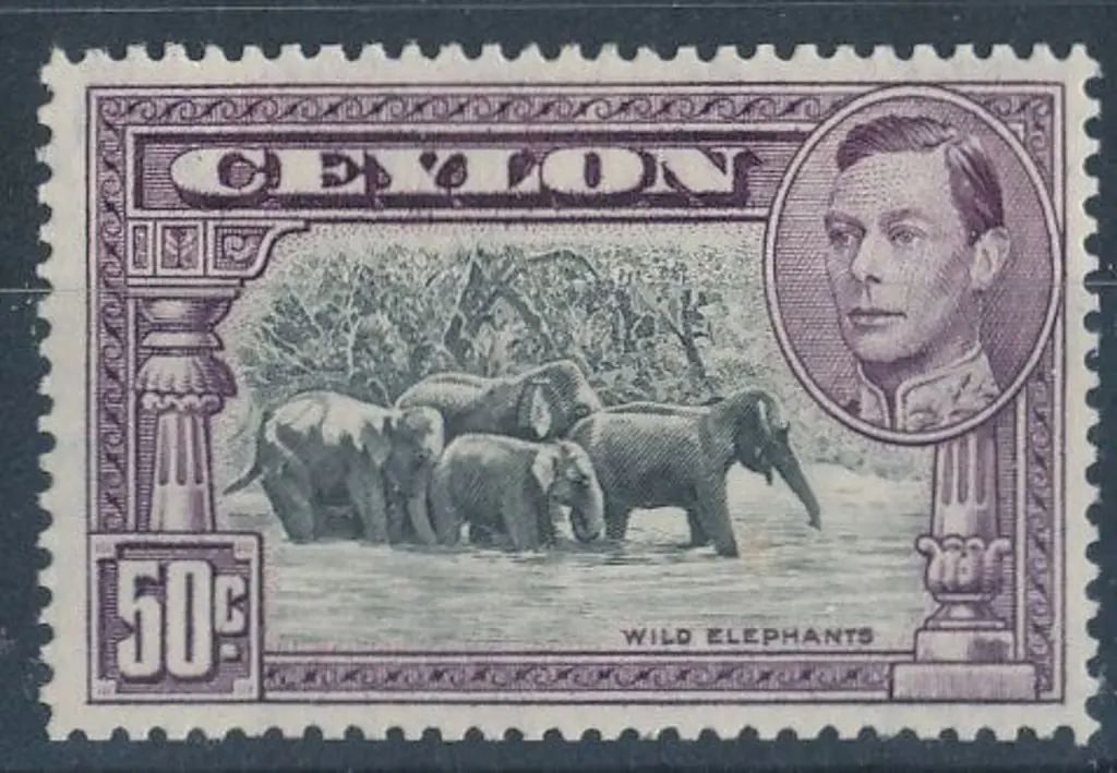 Ceylon 1942 50c black & mauve KGVI. Perf. 14 ... Image 1++