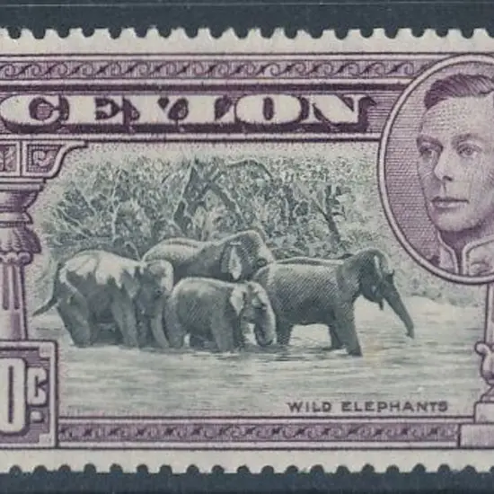 Ceylon 1942 50c black & mauve KGVI. Perf. 14 ...