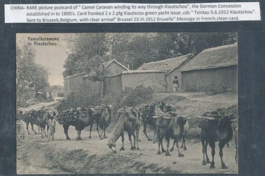 China 1912 Postcard showing Camel Caravan in ... Image 1++