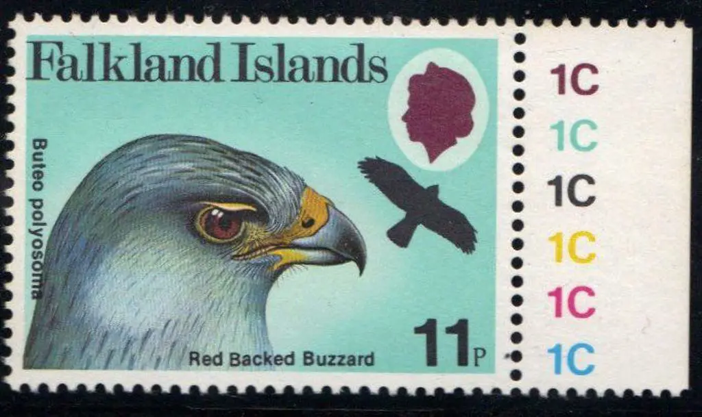 Falkland Islands 1980 11p Buzzard with right ... Image 1++