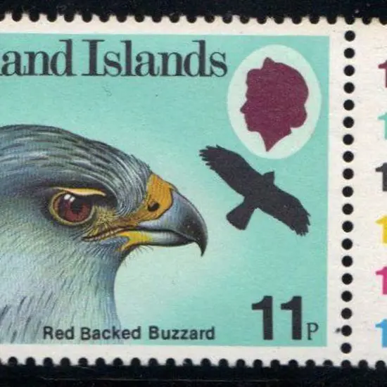 Falkland Islands 1980 11p Buzzard with right ...