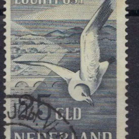 Netherlands 1951 25gld Seagull airmail F/U. SG743 ...