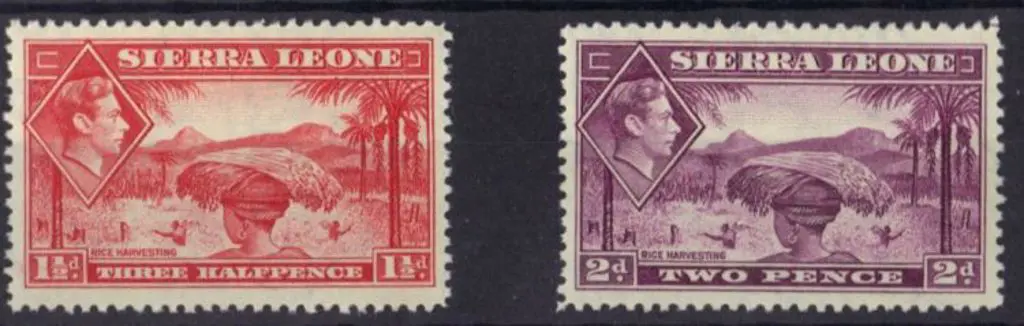 Sierra Leone 1938 1½d scarlet & 2d mauve KGVI rice ... Image 1++