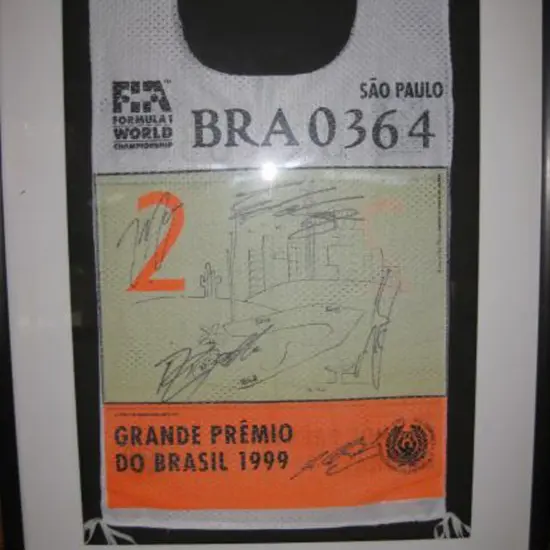 1999 Formula 1 Brazilian Grand Prix FIA Course ...