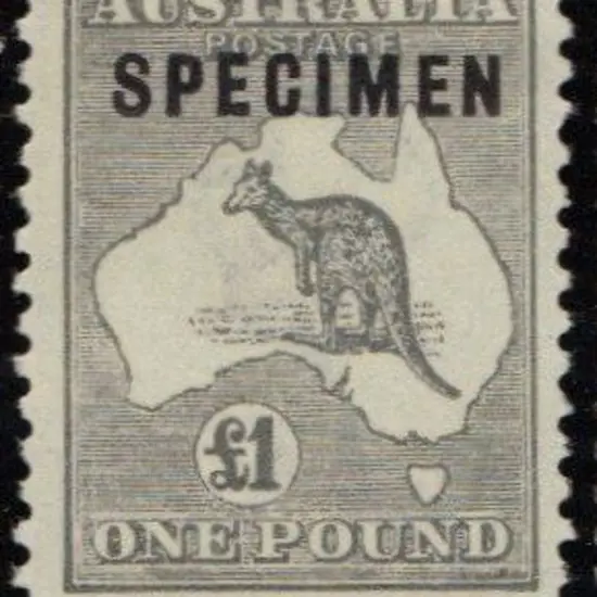 £1 grey ovptd SPECIMEN. MLH with light tone at ...