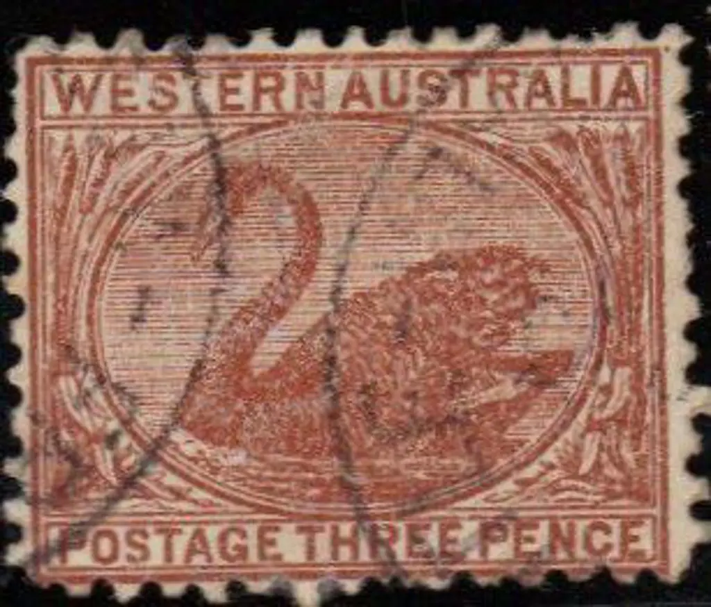 1912 3d brown swan Perf 12½ with upright wmk ... Image 1++