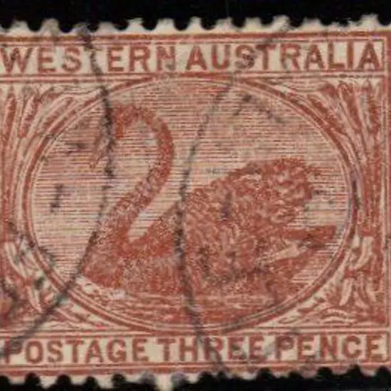 1912 3d brown swan Perf 12½ with upright wmk ...