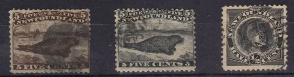 Canada Newfoundland 1865/71 5¢ brown (clipped ... Image 1++