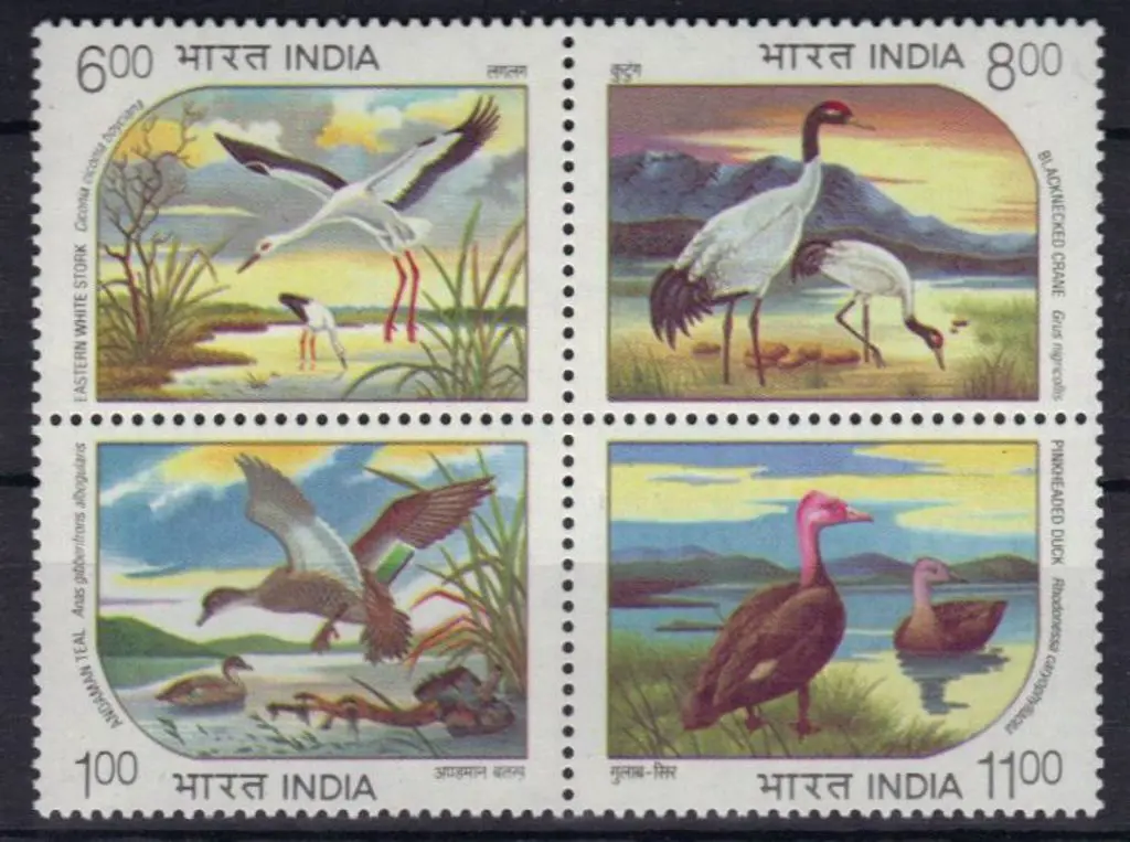 India 1994 Endangered Water Birds block of 4. MUH ... Image 1++