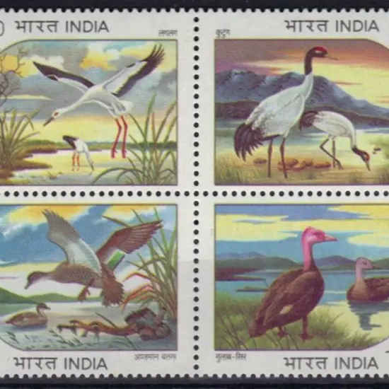 India 1994 Endangered Water Birds block of 4. MUH ...