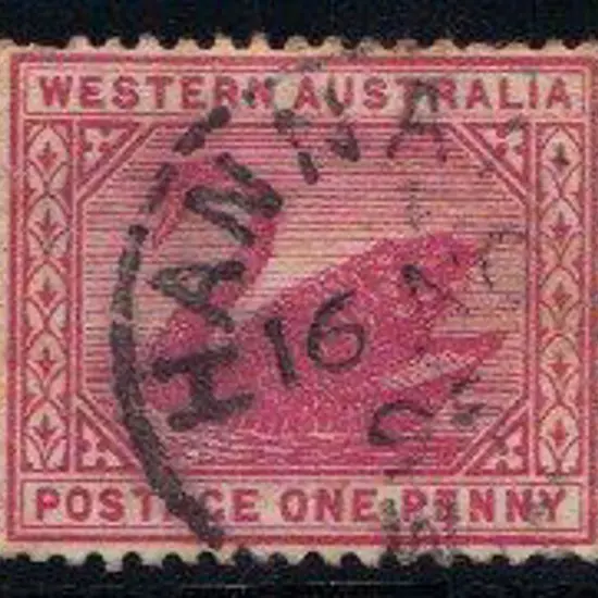 Hannans 3b 75% strike on 1d red swan 16 NO 95 (1)