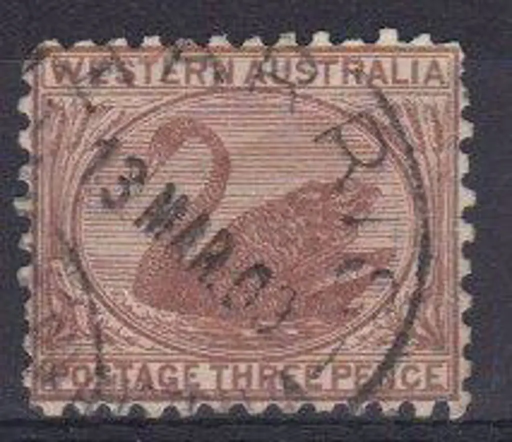 Harris A25 75% strike on 3d brown swan 13 MAR 09 ... Image 1++