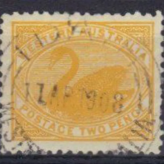 Ida.H A26 90% central strike on 2d yellow swan 11 ...
