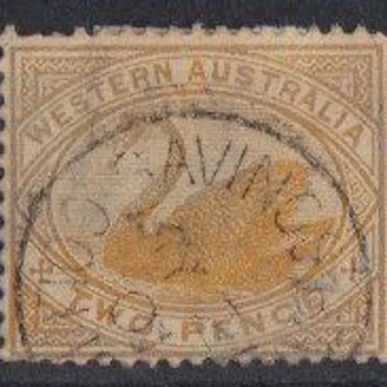 Savings Bank Collie Sbii on 2d swan MY 21 01.