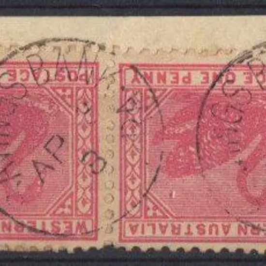 Savings Bank Dongarra SBi on pair of 1d swans tied ...