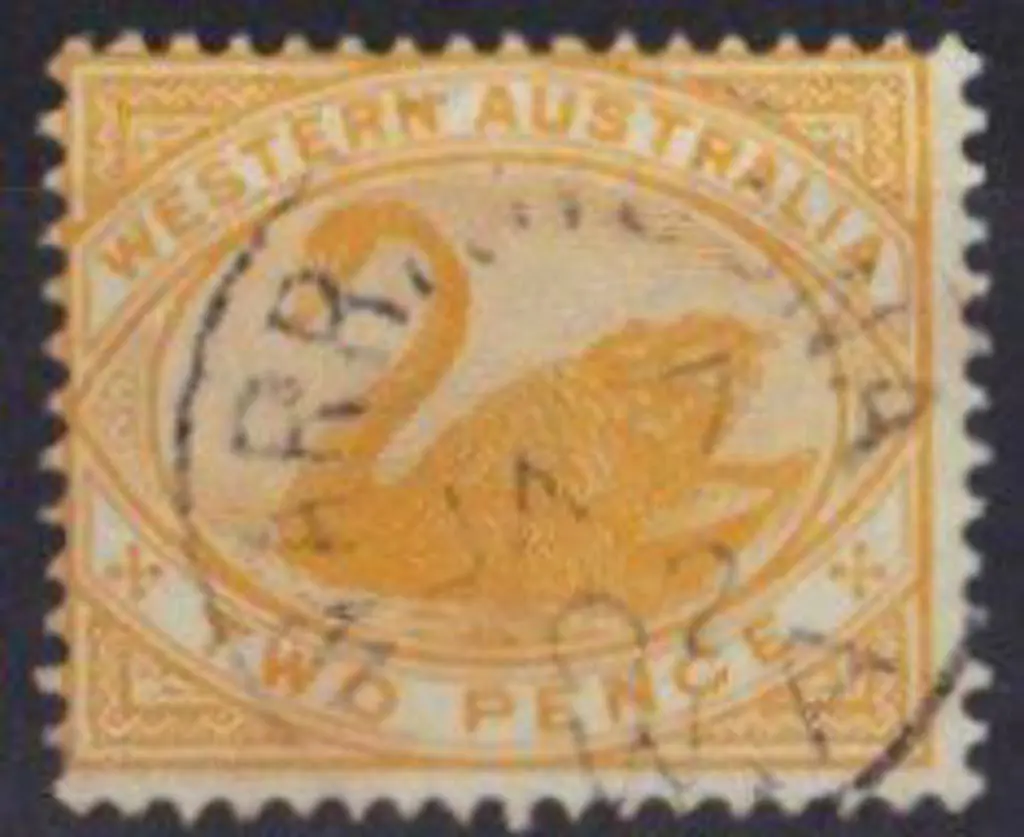 Warrawoona 3b. Light 85% strike on 2d yellow swan ... Image 1++