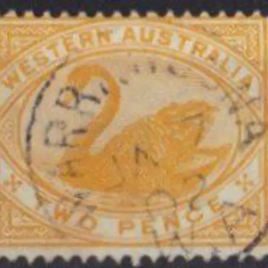 Warrawoona 3b. Light 85% strike on 2d yellow swan ...