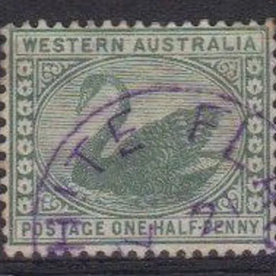White Flag 3b violet on ½d green swan JL 21 ?