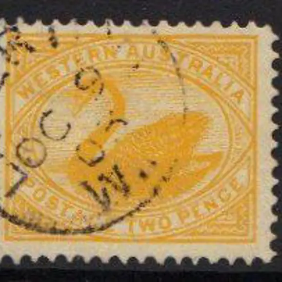1903 2d yellow swan on coarse wove paper. F/U with ...