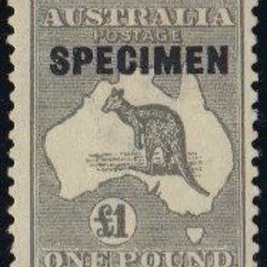 1915-28 3rd wmk £1 grey ovptd SPECIMEN Type D. ...