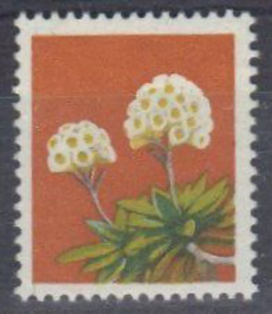 1975 18c Wildflower with black omitted resulting ... Image 1++
