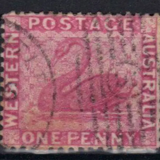 1888 1d carmine pink swan with "double tail" ...