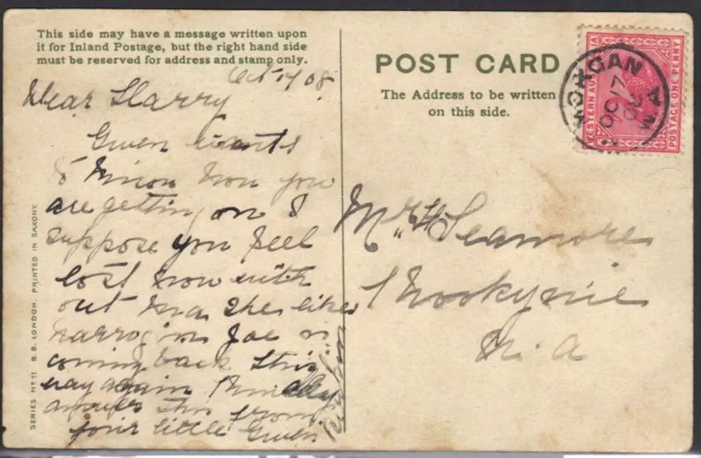 Mt Morgan 3b on 1908 (17th Oct) Coloured floral ... Image 1++