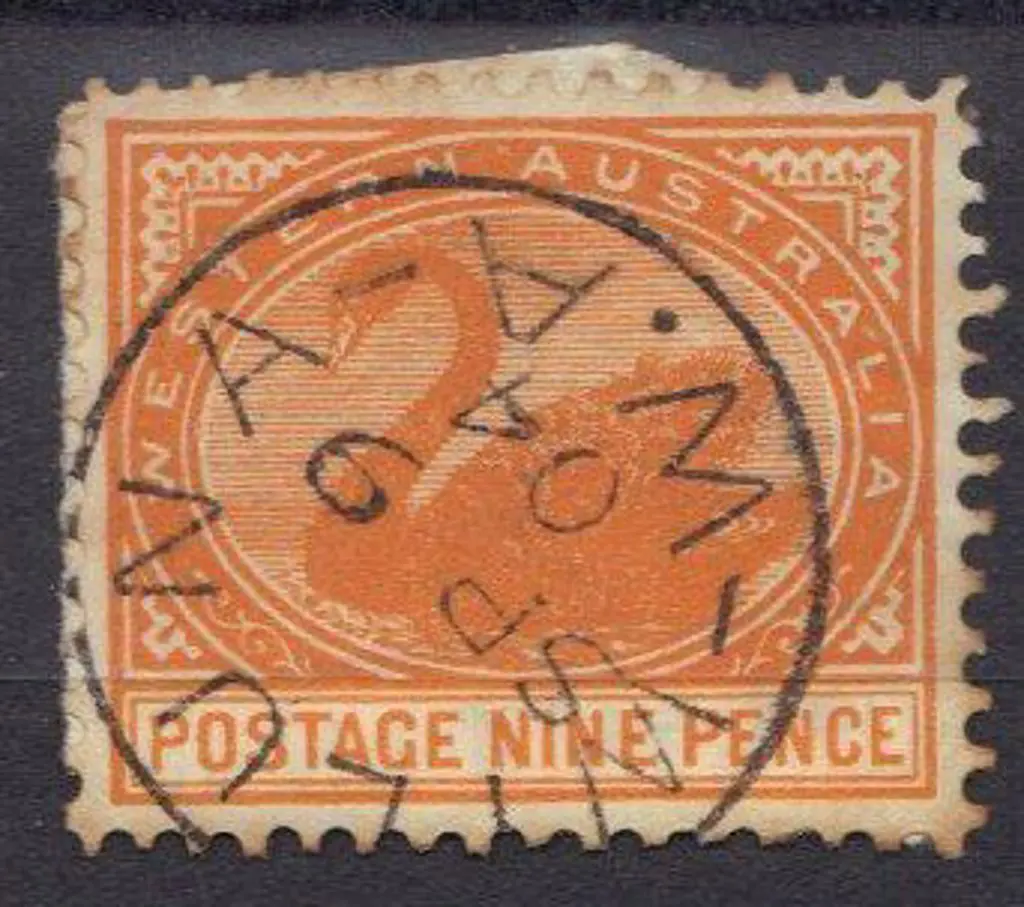 Wiluna 3b. A 95% strike on 9d swan for 9 Sep 1904. ... Image 1++