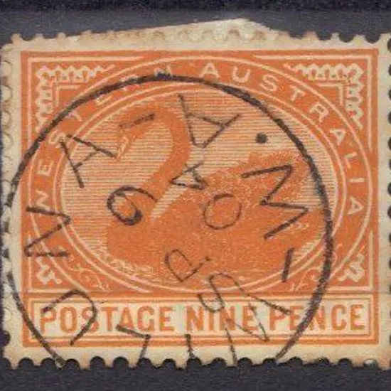 Wiluna 3b. A 95% strike on 9d swan for 9 Sep 1904. ...