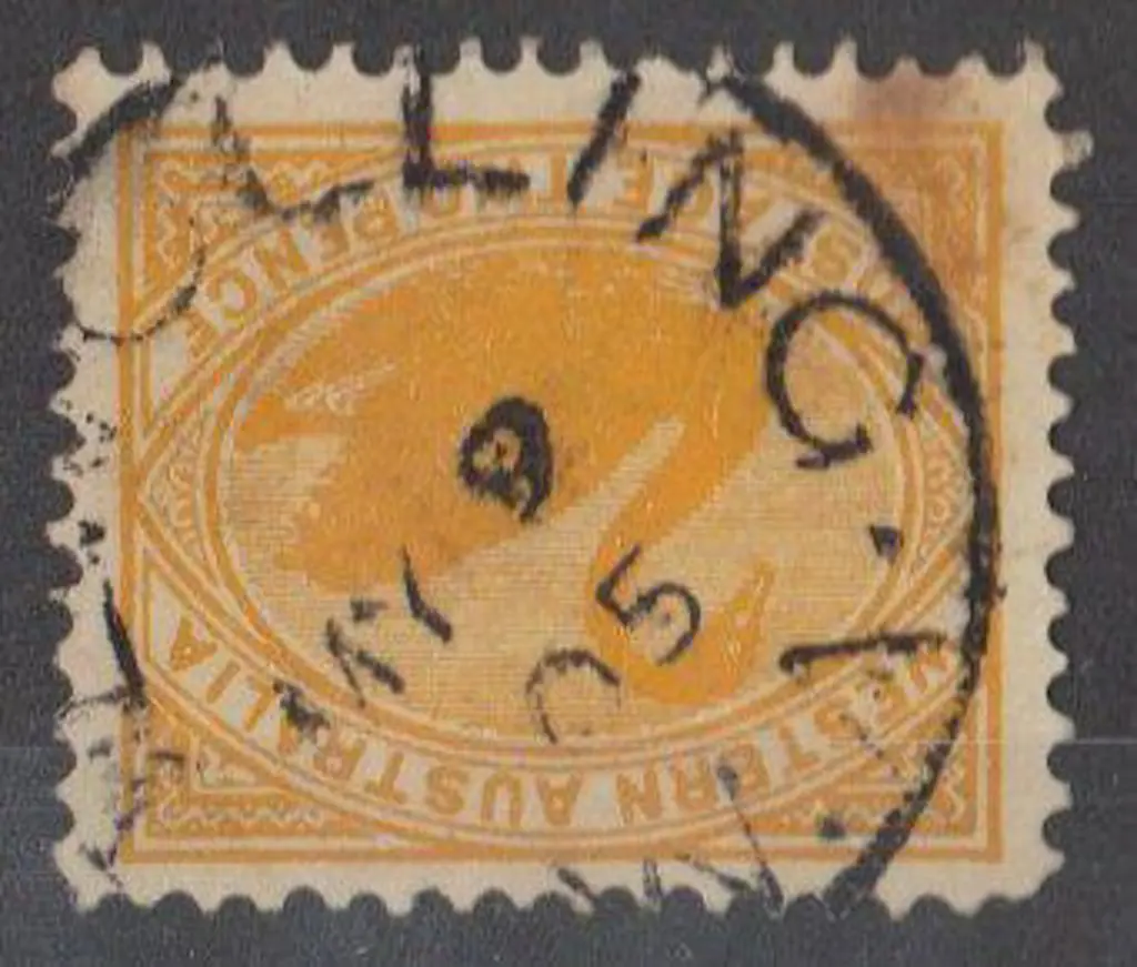 Wolwolling 3b. Nice part strike on 2d yellow swan ... Image 1++