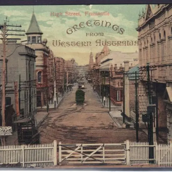 1907 P. Falk & Co to Tasmania  featuring hand ...