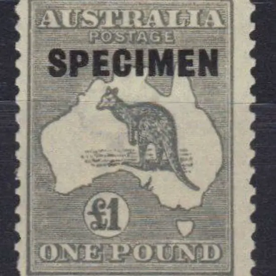 £1 grey ovptd SPECIMEN type D. MUH SG 75 Cat. £80+