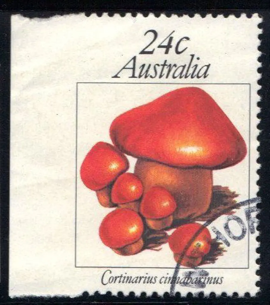 1981 24c Fungi imperforate left margin example. ... Image 1++