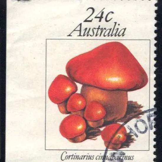 1981 24c Fungi imperforate left margin example. ...
