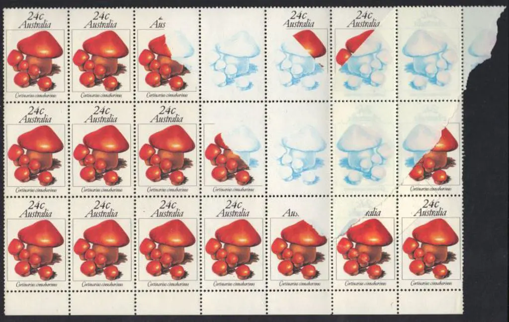 1981 24c Fungi block of 21 with bottom margin with ... Image 1++