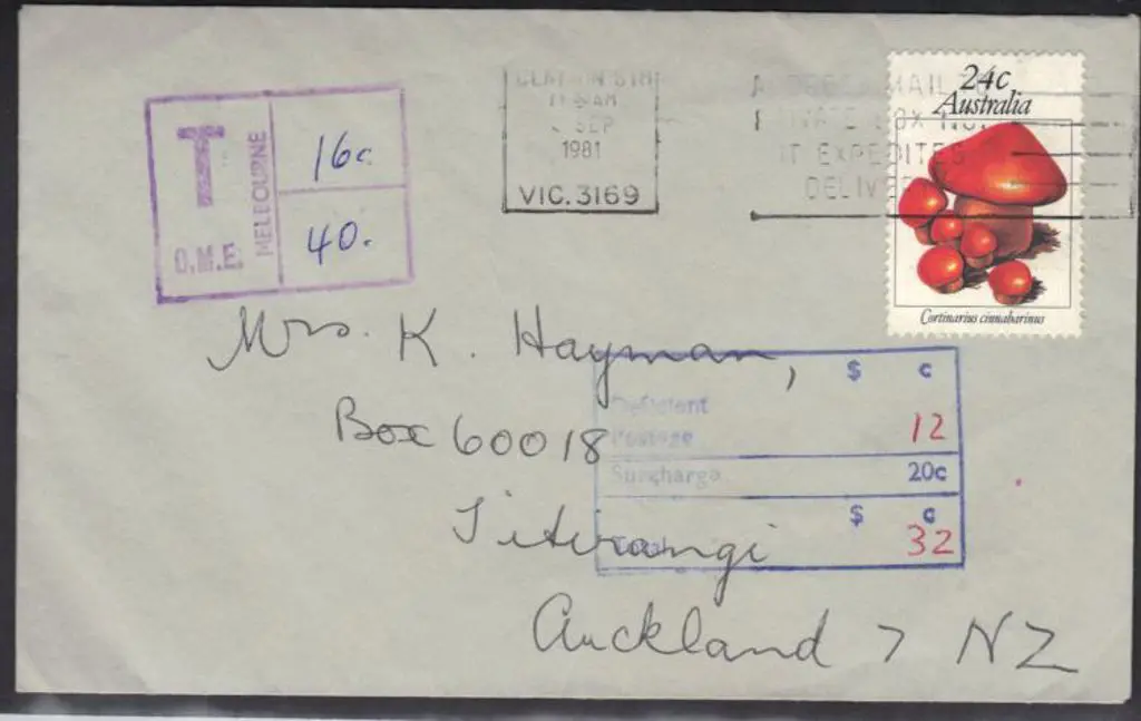 1981 taxed cover to NZ bearing 24c fungi & on ... Image 1++