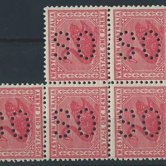 1902 1d rose-pink block of 7 swans perfined large ...