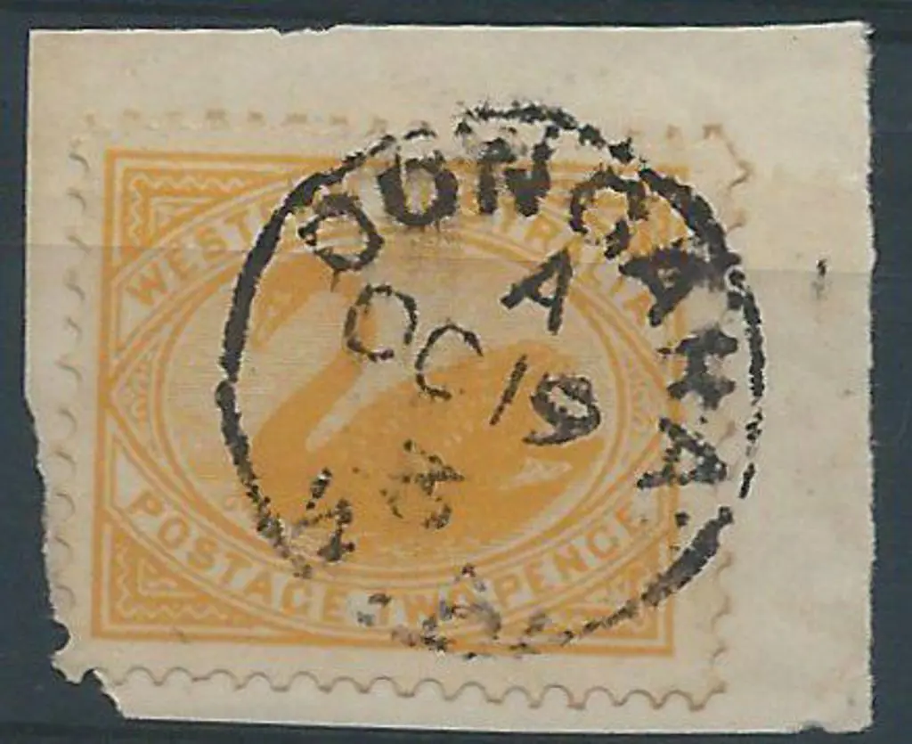 Dongara 3b in A. Complete strike on 2d yellow swan ... Image 1++