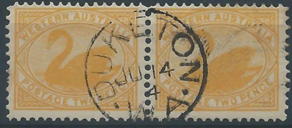 Duketon 3b complete strike on pair 2d yellow swans ... Image 1++