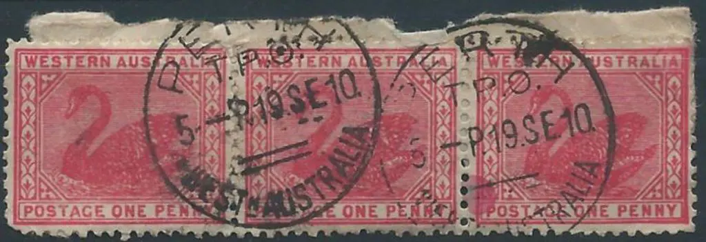 Perth Travelling P.O. TPO GPO 1 on 1d red swans ... Image 1++