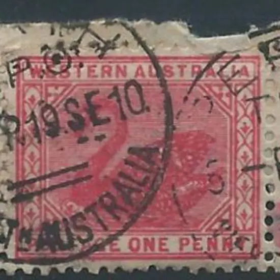 Perth Travelling P.O. TPO GPO 1 on 1d red swans ...