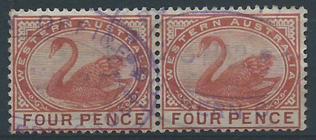 Southern Cross Post Office ORS-2 for 3 Mar 1895. ... Image 1++
