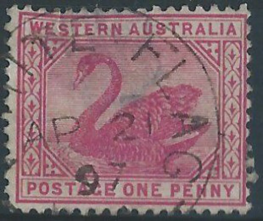 White Flag 3b 70% strike on 1d red swan for 21 Apr ... Image 1++