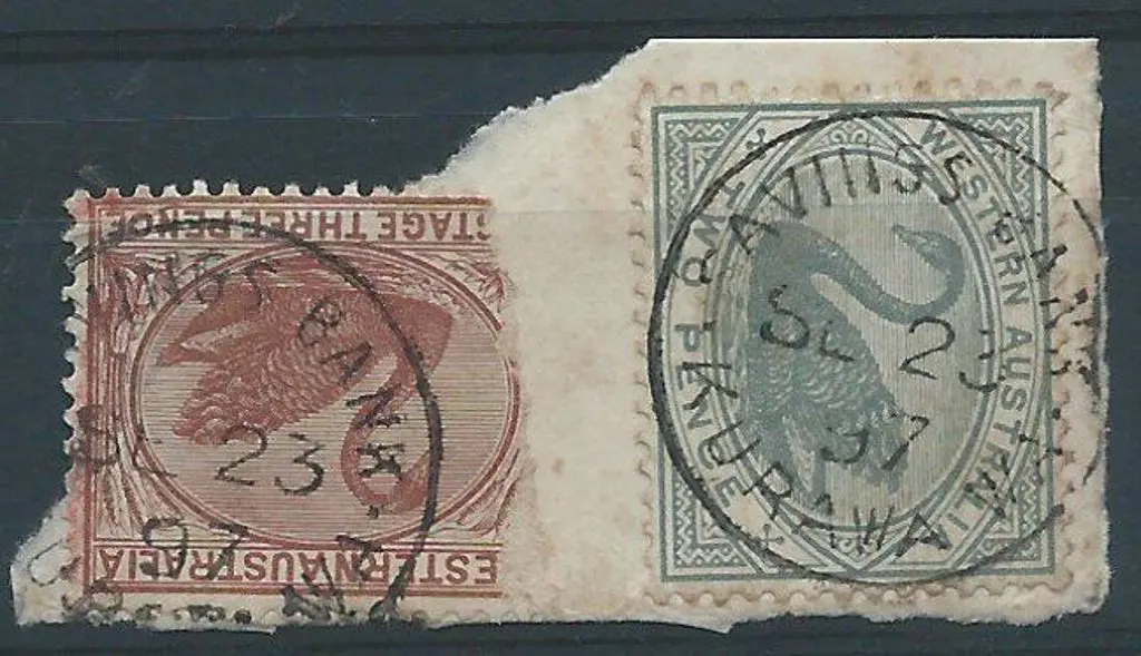 Kurawa Sbii 70% & 100% strikes on swans on piece ... Image 1++